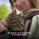 Mujer escapa de la guerra en Ucrania con su gato | Almas Gemelas | El Dodo