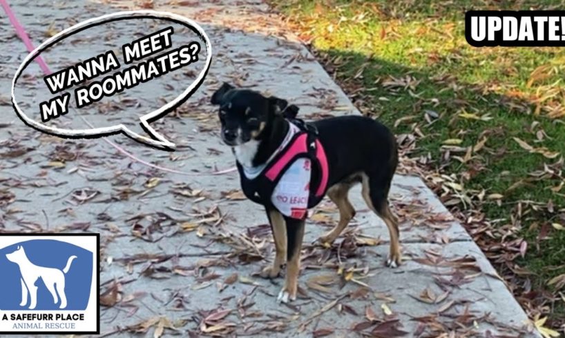 PEANUT: Photos & Videos With New Family & Friends!