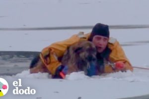 Perro y dueño son rescatados de aguas congeladas | El Dodo