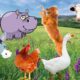 Pictures of animals playing, animal sounds: dogs, cats, cows, horses, elephants, ducks