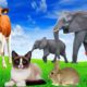 Playful animals - Cat, elephant, cow, rabbit, chicken - Animal moment