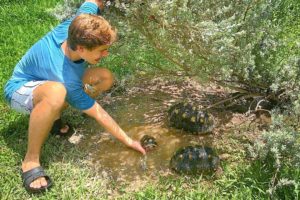 RESCUING BABY ANIMALS DROWNING IN HURRICANE FLOOD ! WILL THEY MAKE IT ?!