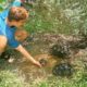 RESCUING BABY ANIMALS DROWNING IN HURRICANE FLOOD ! WILL THEY MAKE IT ?!