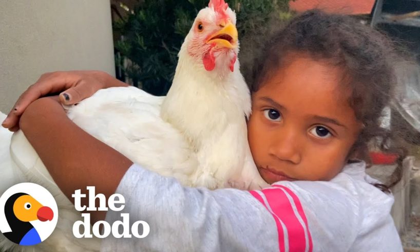 Rescue Chicken Shares A Bedroom With Her Human Sister | The Dodo Soulmates