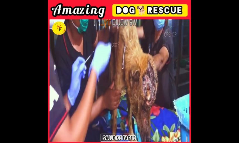 Rescue Team ne kamal kardiya 😱😱😱#shorts #ytshorts #viral