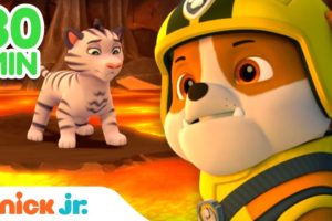 Rubble Rescues Baby Animals! 🐯 w/ PAW Patrol Chase & Zuma | 30 Minute Compilation | Rubble & Crew