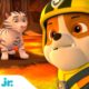Rubble Rescues Baby Animals! 🐯 w/ PAW Patrol Chase & Zuma | 30 Minute Compilation | Rubble & Crew