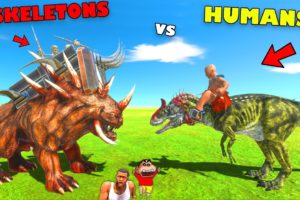 SKELETONS ARMY Attack HUMANS in Animal Revolt Battle Simulator |Shinchan and Chop and AMAAN-T GAMING