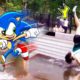 SONIC Win !! People Tripping and Falling | Fails of the Week | Sonic in Real Life - Woa Doodland