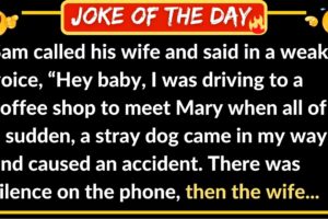 Sam Called His Wife In A Weak Voice - (Best Joke Of The Day) | Funny Jokes 2022