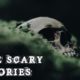 Scary Stories Compilation For A Bitter Long Night