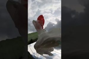 Spiraling Paraglider Impacts The Ground Unscathed