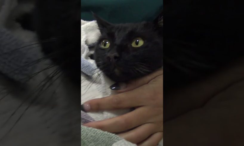 Squid Game on the freeway - one wrong move, and 🙀🙀🙀