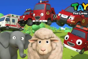 The Animal Rescue Team | Tayo Red Rescue Team Song | New Rescue Truck l Safety Song for Kids