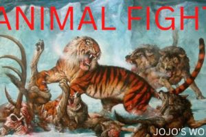 The Best Of Animal Attack - Most Amazing Moments Of Wild Animal Fight #jojosworld #youtube