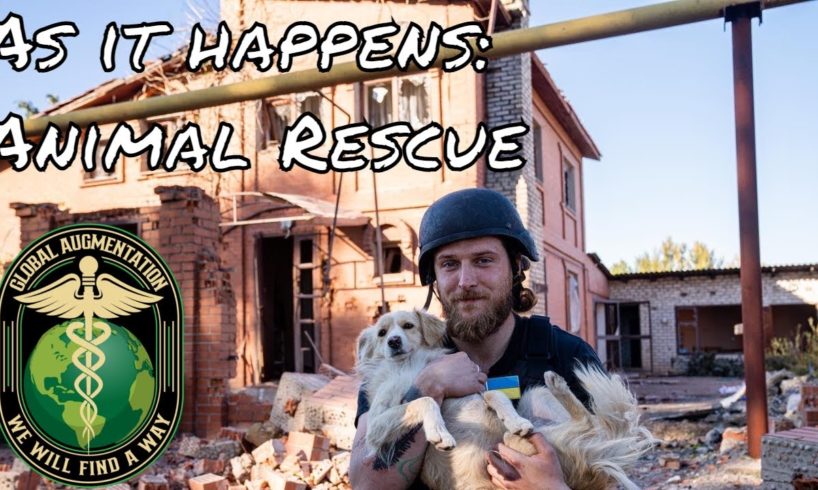 The best dog. Ukraine Animal Rescue update.
