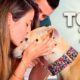 The top 7 animal rescue videos of all time!