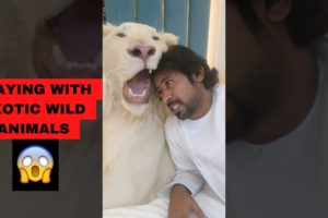 WATCH ARAB PLAYING WITH WILD LION PET IN DUBAI | WILD ANIMALS 2022