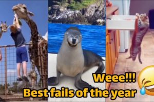 Wee funny moments | Instant Regret | Fails Of The Week | Fail Compilation 2022