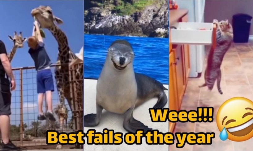 Wee funny moments | Instant Regret | Fails Of The Week | Fail Compilation 2022