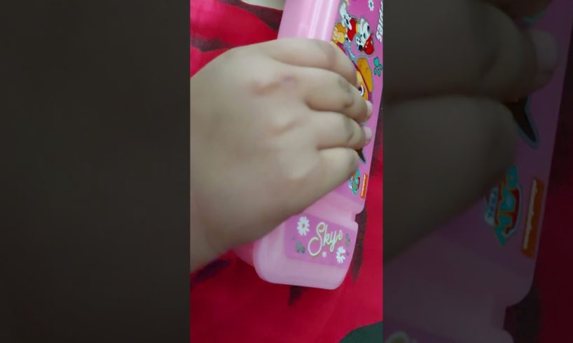 cutest puppies pencil box #short #shortsvideo #shots #viral #shorts