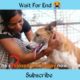 dog rescue video // 😭 #shorts #rescue #viral