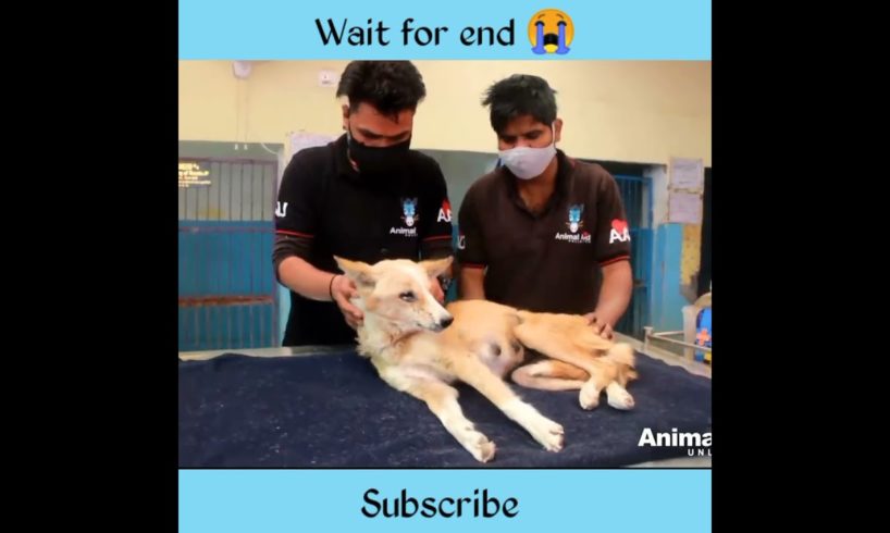 dog rescue video // 😭 #shorts #rescue #youtubeshorts