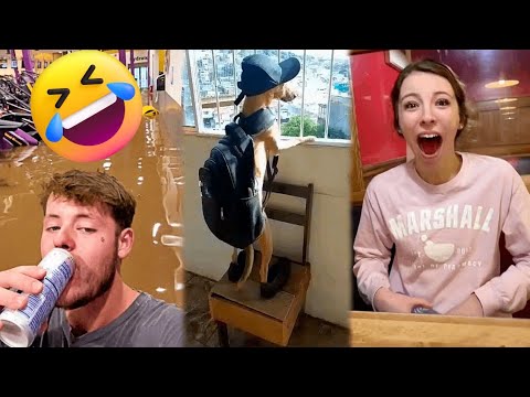 instant regret  fails of the week|funny videos 2022 instant regret fails of the week