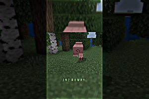 👹⛏️ | minecraft | #shorts #minecraftshorts