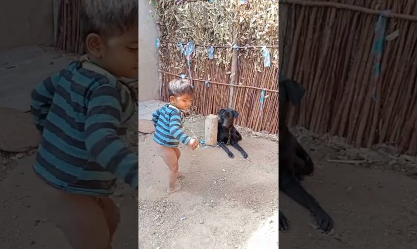 playing dog for baby #shorts #animals