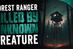 "Forest Ranger KILLED By Unknown Creature" 5 DISTURBING Work Stories | Tales from the Break Room