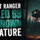 "Forest Ranger KILLED By Unknown Creature" 5 DISTURBING Work Stories | Tales from the Break Room