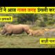 इनके सामने जाने से पहले ये जान लीजिए | Craziest Animal Fights Caught on Camera