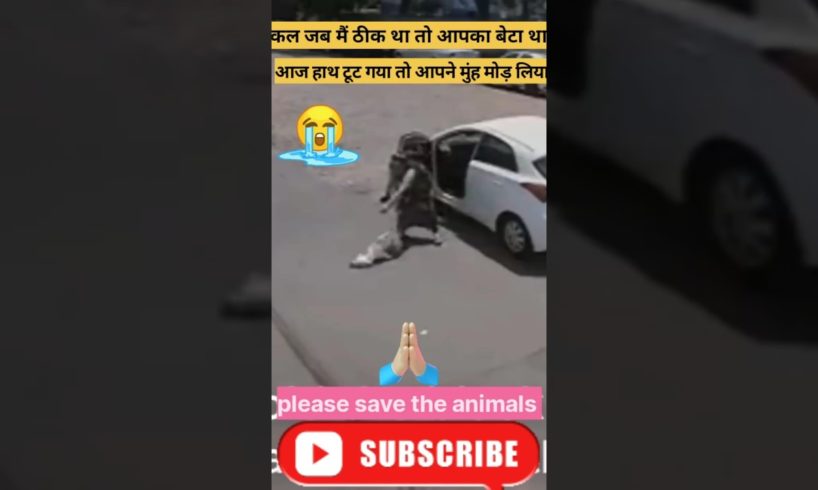 कल तक मैं आपका बेटा था 😭 #shorts #youtubeshorts #dog #rescue