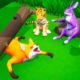 నక్క vs పులి - FOX VS TIGER - Funny Animals Fights | Funny Animals Videos 2022 | Rabbit, Jackal