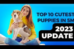 10 DOG BREEDS THAT HAVE THE CUTEST PUPPIES 2023