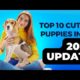 10 DOG BREEDS THAT HAVE THE CUTEST PUPPIES 2023