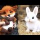 Cute baby animals Videos Compilation cute moment of the animals #19 Cutest Animals 2022