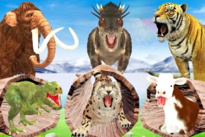 2 Monster Dinosaurs vs Giant Tigers Fight Cow Cartoon Saved By Woolly Mammoth Wild Animal Fights
