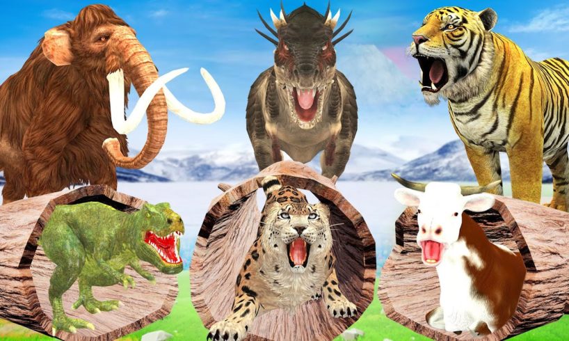 2 Monster Dinosaurs vs Giant Tigers Fight Cow Cartoon Saved By Woolly Mammoth Wild Animal Fights