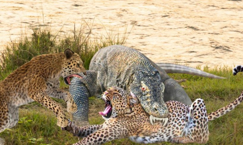 20 Craziest Animal Fights of All Time 2023