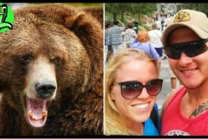 3 Bear Attacks That Will Give You Panic!