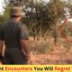 4 Elephant Encounters You Will Regret Watching | Elephant Close Encounter | Jaws