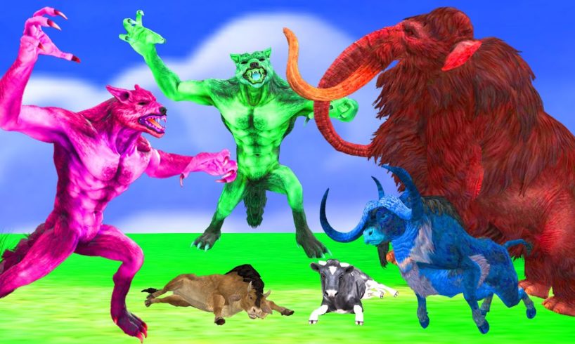 5 Zombie Wolf vs 5 Zombie Mammoth Fight Cow Cartoon Saved By woolly Mammoth Elephant Wild Animals