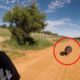 6 Hippo Encounters You Should Not Watch