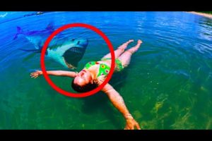 7 SHOCKING Shark Encounters That'll Leave You Speechless!