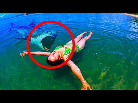 7 SHOCKING Shark Encounters That'll Leave You Speechless!