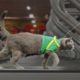 Aaron's Animals - Pet Peeves Gym Edition