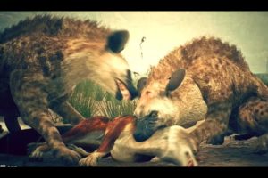 All Animals Fight in Ancestors: The Humankind Odyssey