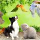 Animal sounds - Cow, Dog, Cat, Parrot, Goat - Familiar animals